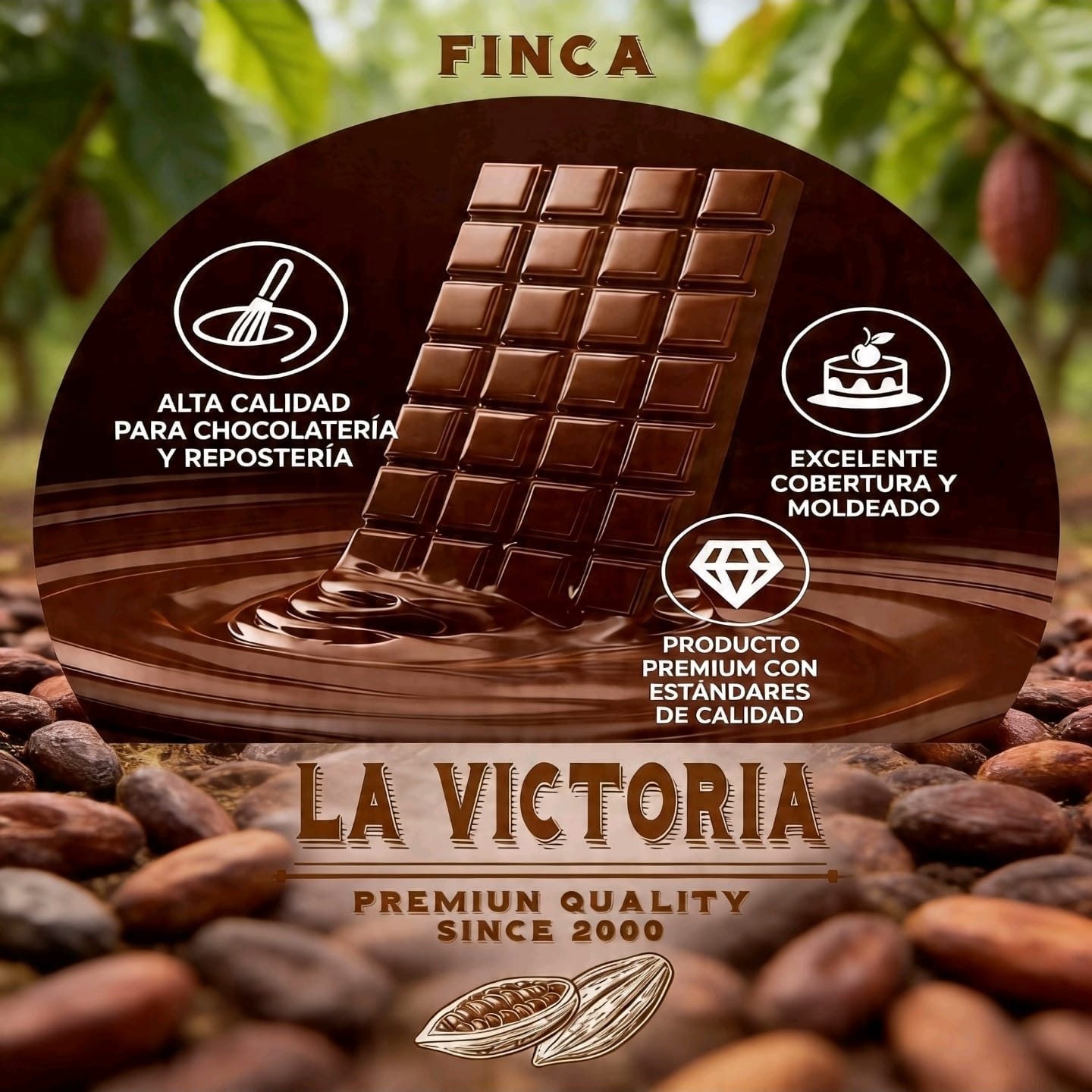 Cacao procesado